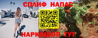 хмурый Моздок