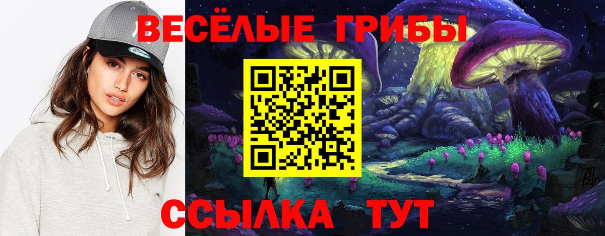 купить наркотик  Псилоцибиновые грибы ЛСД  Вход с VPN  Бугуруслан 